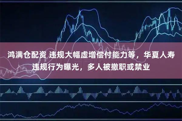 鸿满仓配资 违规大幅虚增偿付能力等，华夏人寿违规行为曝光，多人被撤职或禁业
